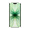 Apple iPhone 17/512GB/Sage