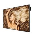65'' LED BenQ SL6502K-UHD,550cd,AN,24/7