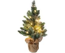 Obrázek k produktu: RETLUX 411 Stromek 15 LED 60cm
