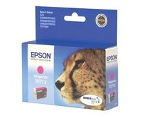 Obrázek k produktu: EPSON  C13T071340, purpurová (magenta), 5,5ml