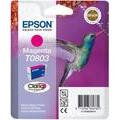Obrázek k produktu: EPSON  C13T08034010, purpurová