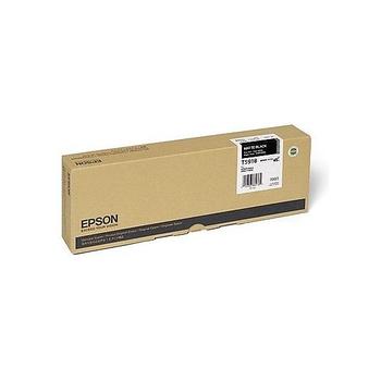 Inkoustová náplň EPSON T591900 light light black