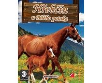 Obrázek k produktu: ESD GAMES Hřebčín U Bílého potoka