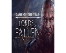 Obrázek k produktu: ESD GAMES Lords of the Fallen Game of the Year Edition