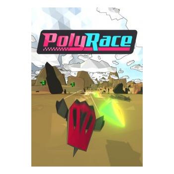 Hra na PC ESD GAMES PolyRace