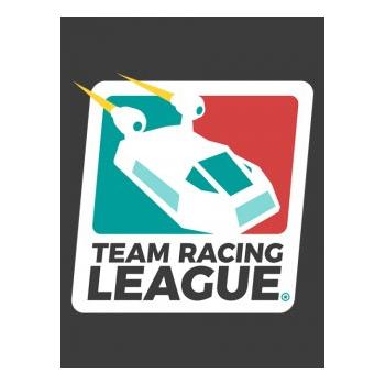 Hra na PC ESD GAMES Team Racing League