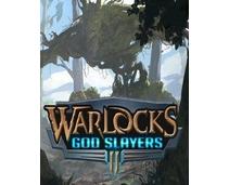 Obrázek k produktu: ESD GAMES Warlocks 2 God Slayers