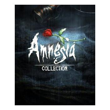 Hra na PC ESD GAMES Amnesia Collection