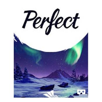 Hra na PC ESD GAMES Perfect