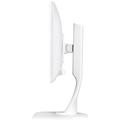 17" LCD monitor iiYAMA B1780SD-W1 bílá (white)