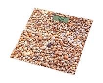 Obrázek k produktu: SENCOR SBS 2302SN