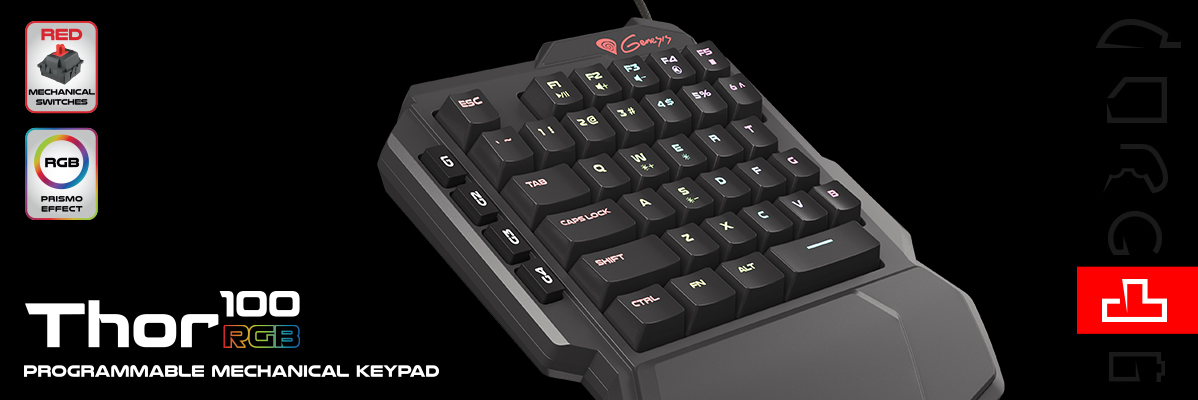Klávesnice NATEC Genesis Thor 100 RGB černá black