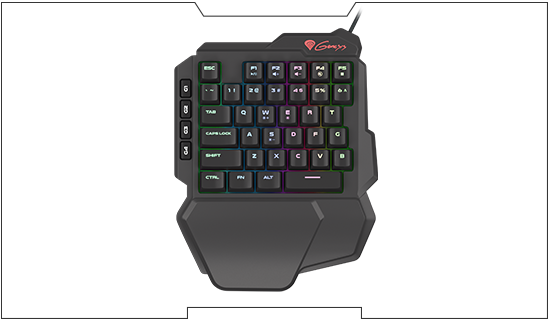 Klávesnice NATEC Genesis Thor 100 RGB černá black