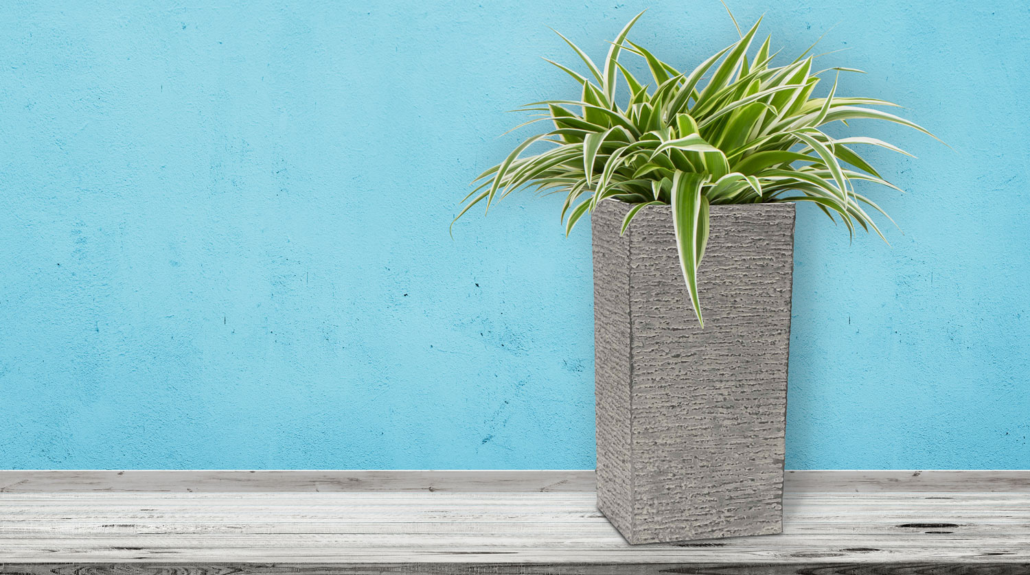 Květináč G21 Natur Tube