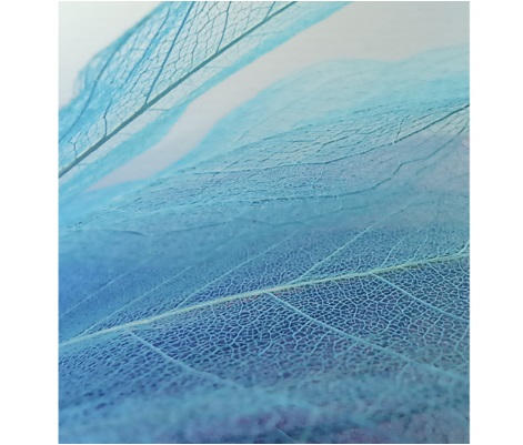 Mobilní telefon XIAOMI Redmi Note 10 5G 4GB64GB šedý gray