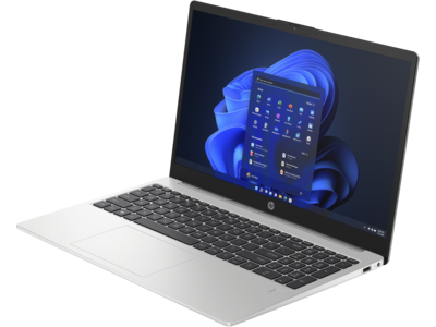 Notebook HP 250 G10 stříbrný silver