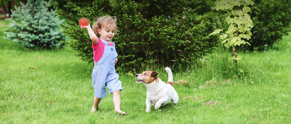 Bezpečnostní kamera TPLINK Tapo C425 KIT