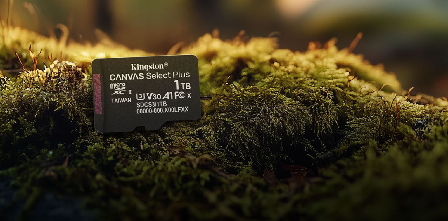 Paměťová karta KINGSTON microSDXC 64GB Canvas Select Plus