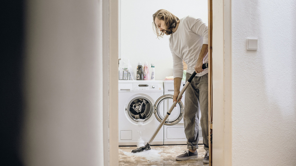 Víceúčelový vysavač KÄRCHER WD 6 P S