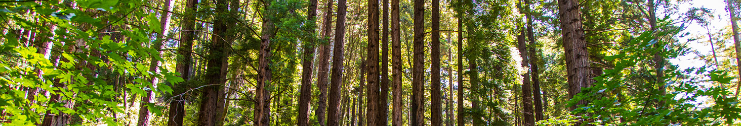 Konvertibilní notebook HP OmniBook 5 Flip 14fp0004nc